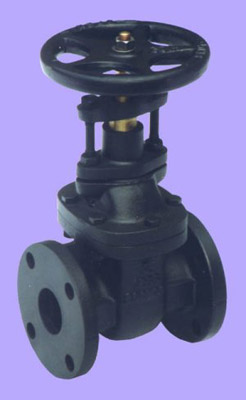 Cast Iron Gate Valve (Non-Rising) Stem